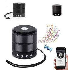 Boom: Compact Bluetooth Speaker WS 887 with FM Radio, Memory Card and USB Pen Drive Slots, and AUX Input Mode Orator