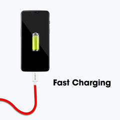 ZEBRONICS TYPE C USB CABLE 30W|6A