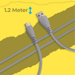 ZEBRONICS USB TO TYPE C CABLE (GREY)