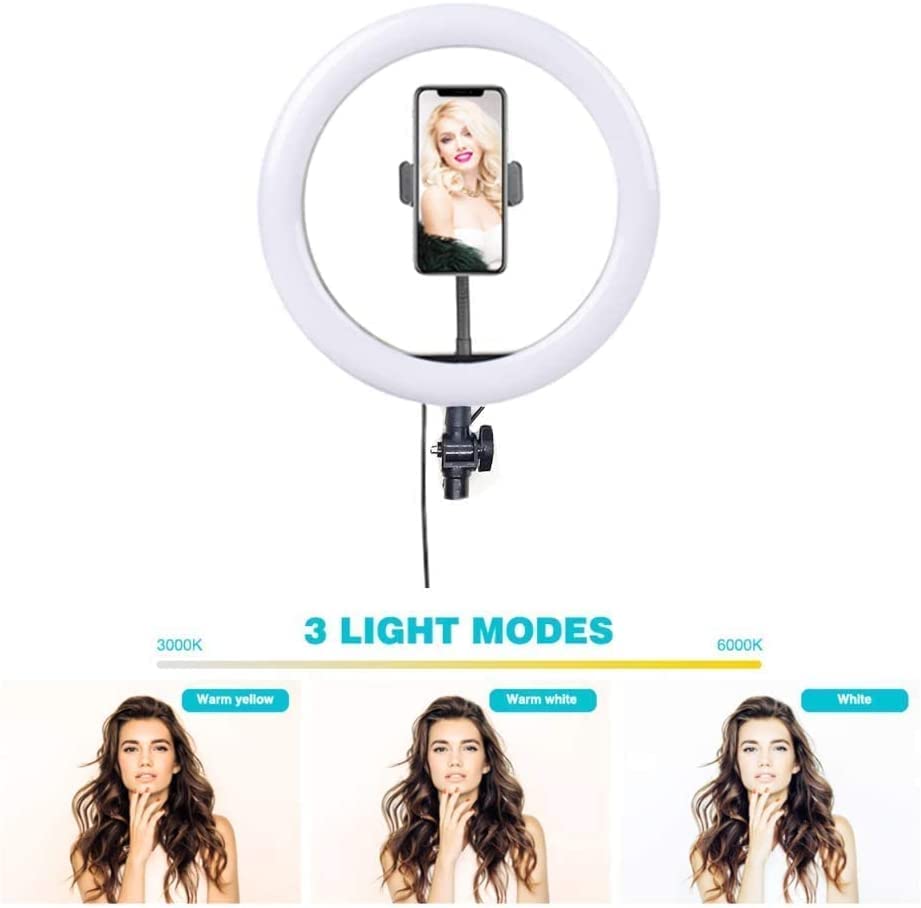 10 Inch LED Ring Light with 3 Level Brightness Dimmable Lighting for Vlogging , You Tube Video , Photo Shoot Live Streaming & Makeup Compatible with All Smart Phones & Cameras