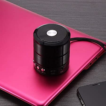 Boom: Compact Bluetooth Speaker WS 887 with FM Radio, Memory Card and USB Pen Drive Slots, and AUX Input Mode Orator