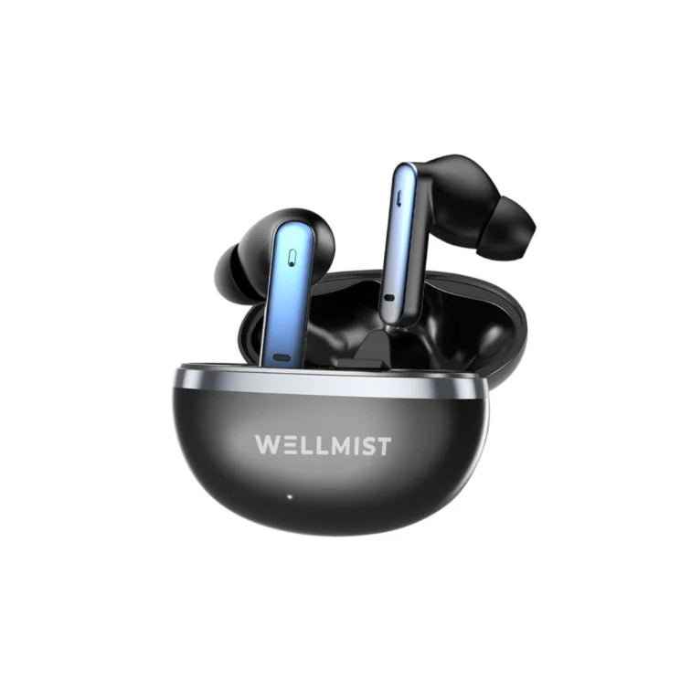WELLMIST WIRELESS IN EAR