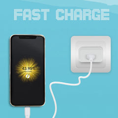 ZEBRONICS - 5V |2.1A ADAPTOR WITH TYPE-C CABLE White