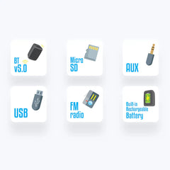 ZEBRONICS-Barrel 100